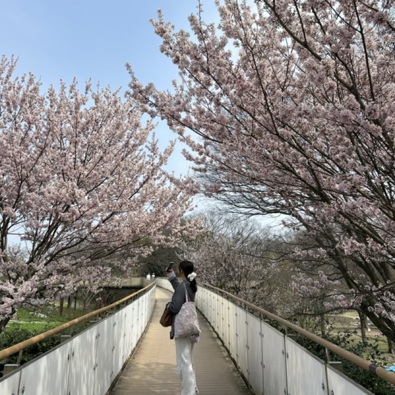 竹中綾菜