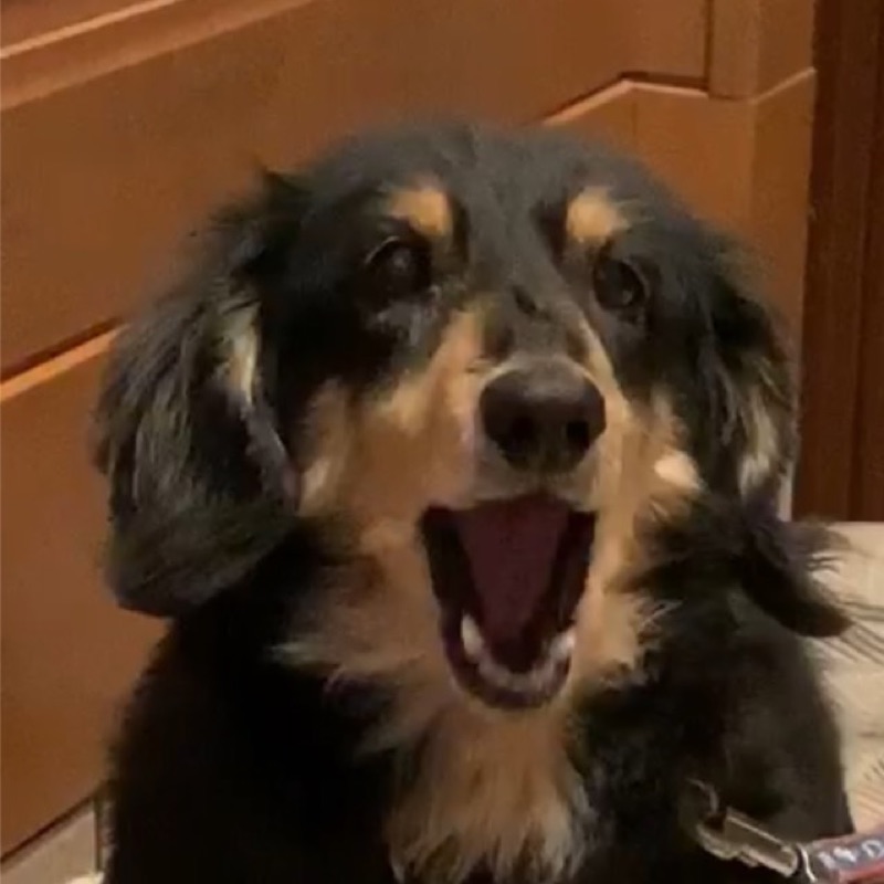 さあ