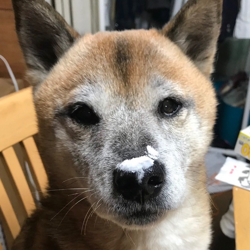 みっきー