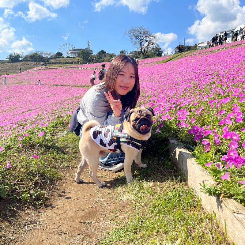 押切彩香