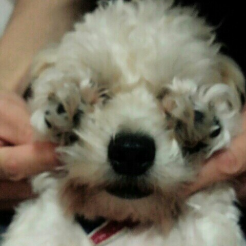 なお☆