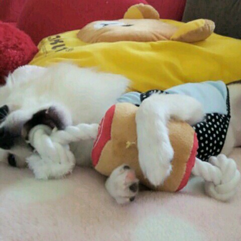 とおる