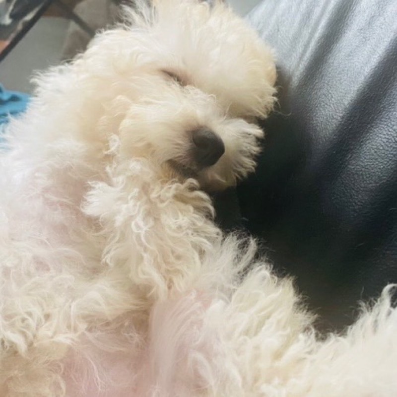 伊藤