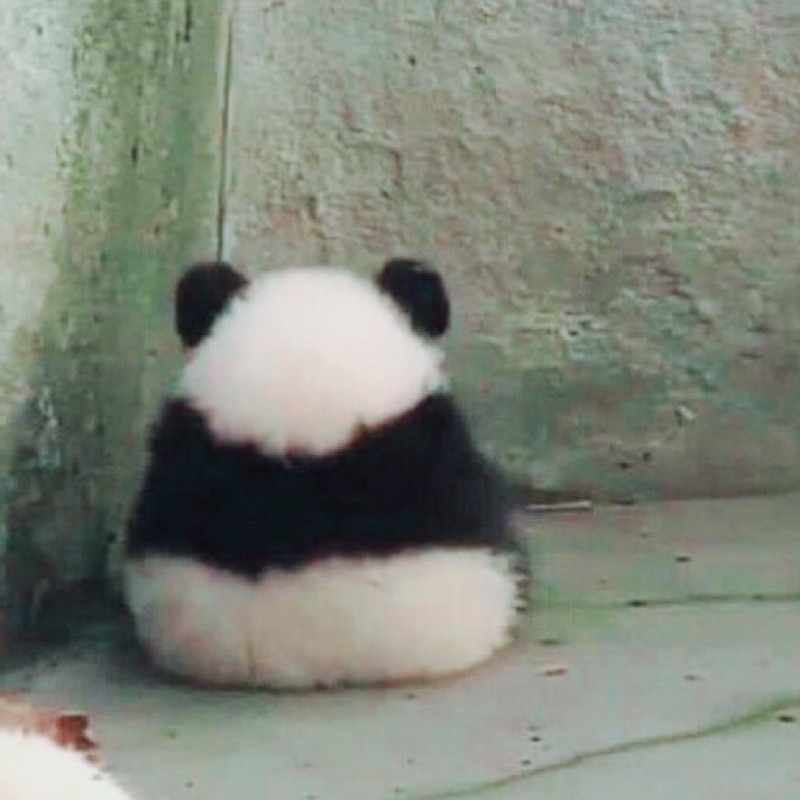 田中智里
