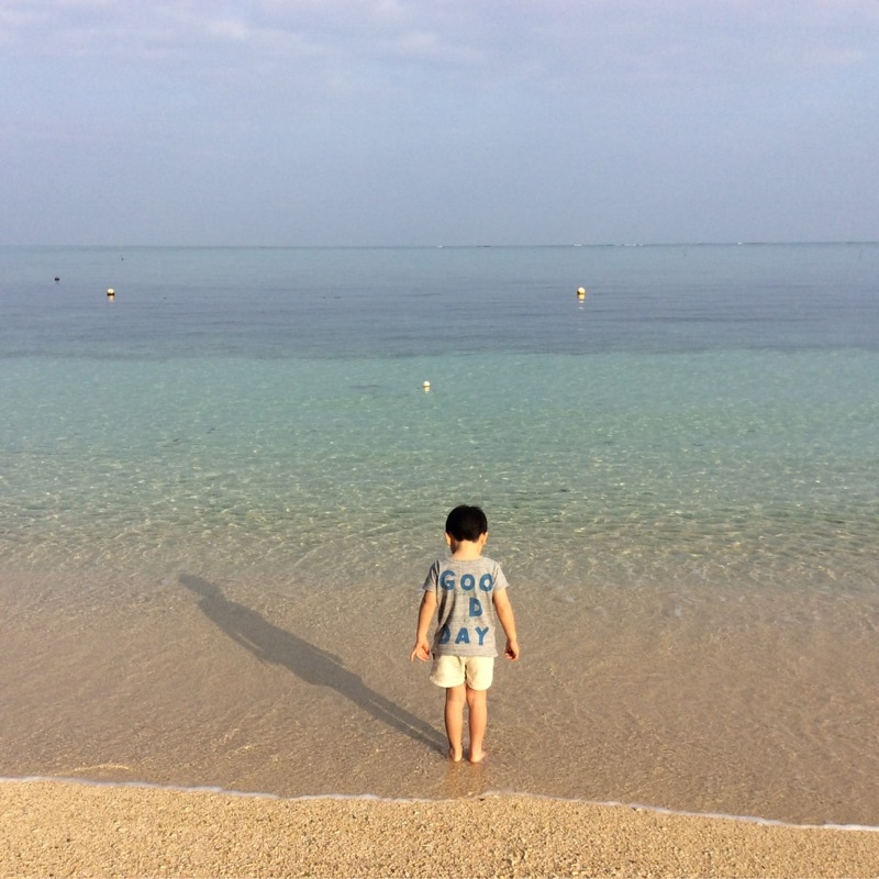 わたこ