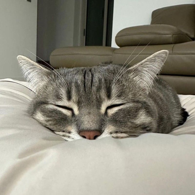 鈴木　淳一郎