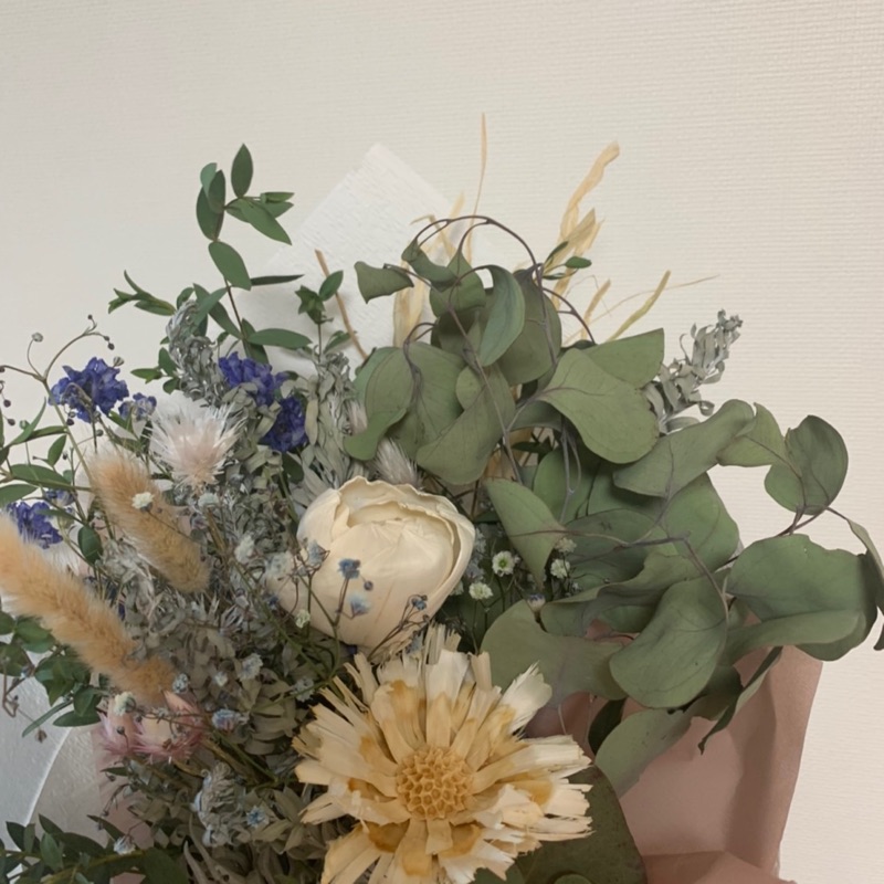もりも