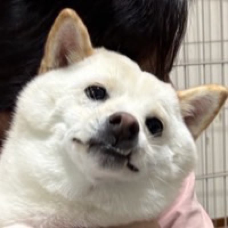 ゆ