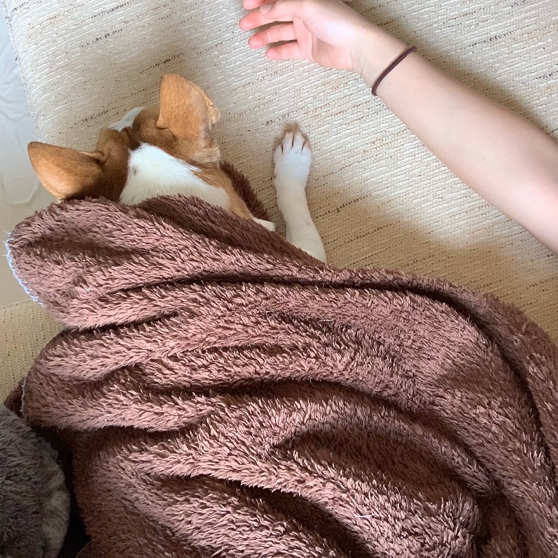 はるなつ