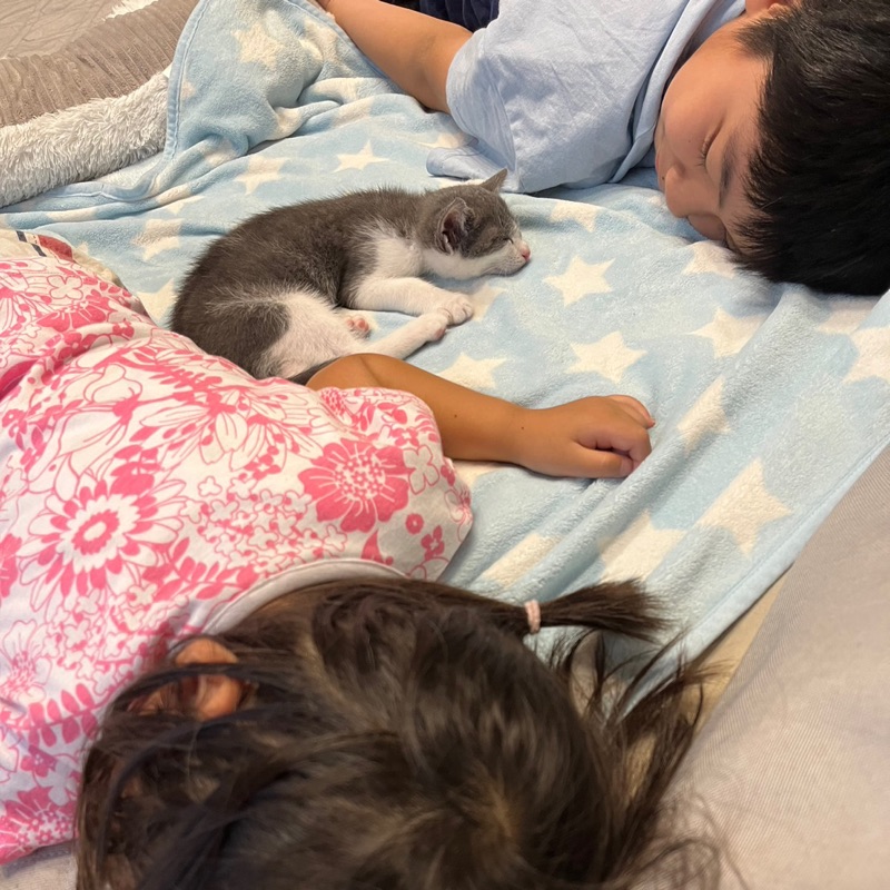 えぐち