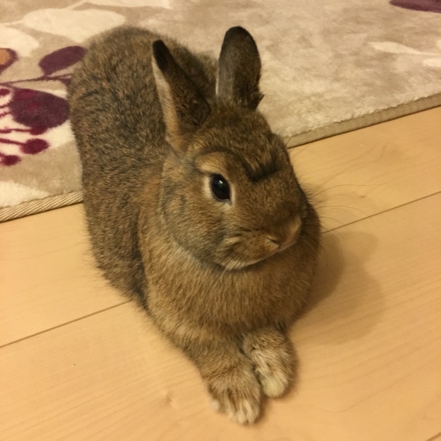鈴木裕子