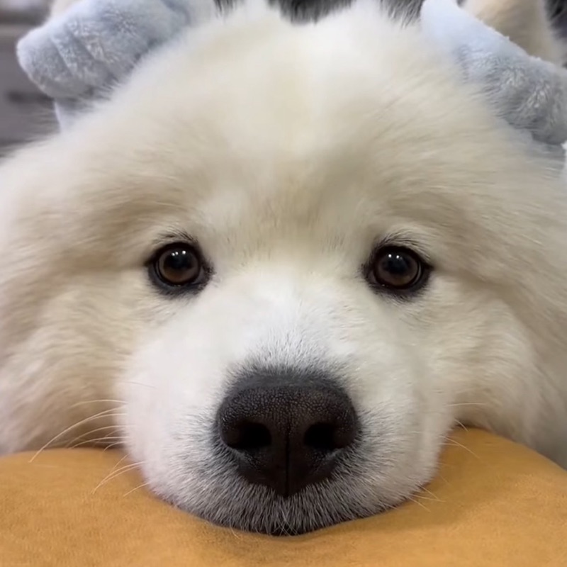 くるくる