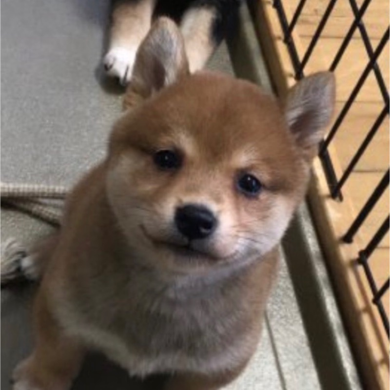 長谷川　正史