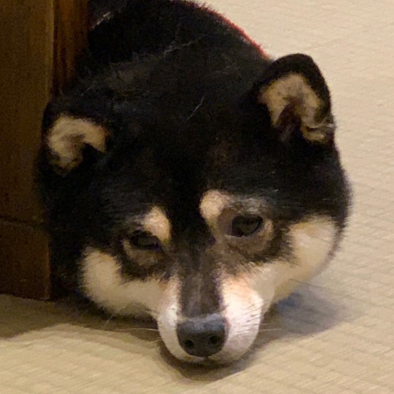 田渕広大
