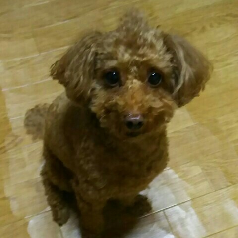 ゆう