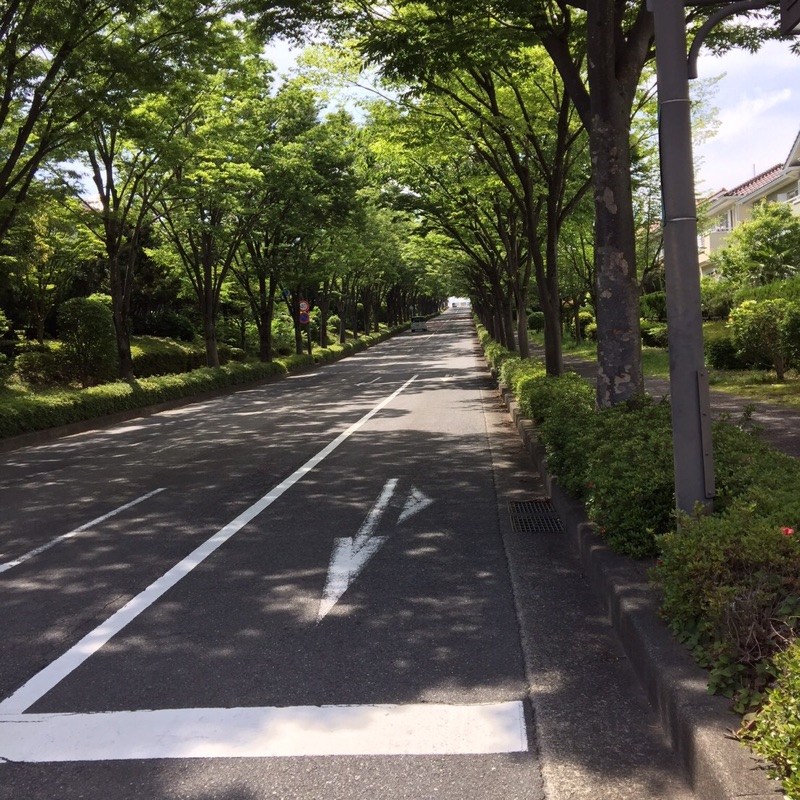 牛窓ばあば