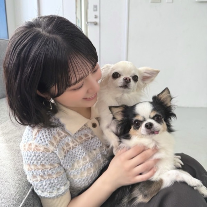 カジキマグロ