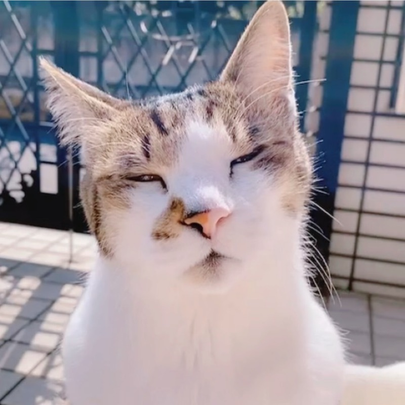 ゆい