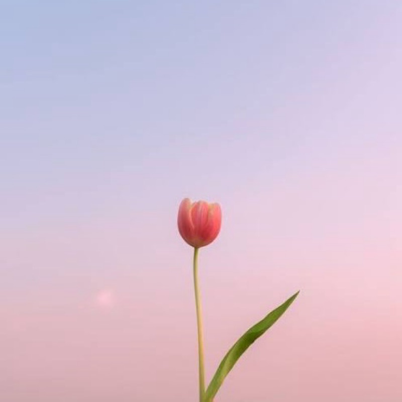 ゆり