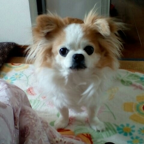 佐和子