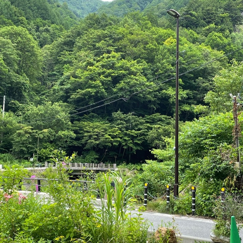 藤澤孟礼