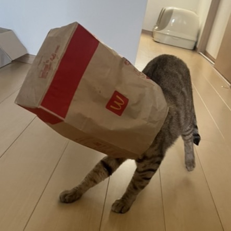 らん