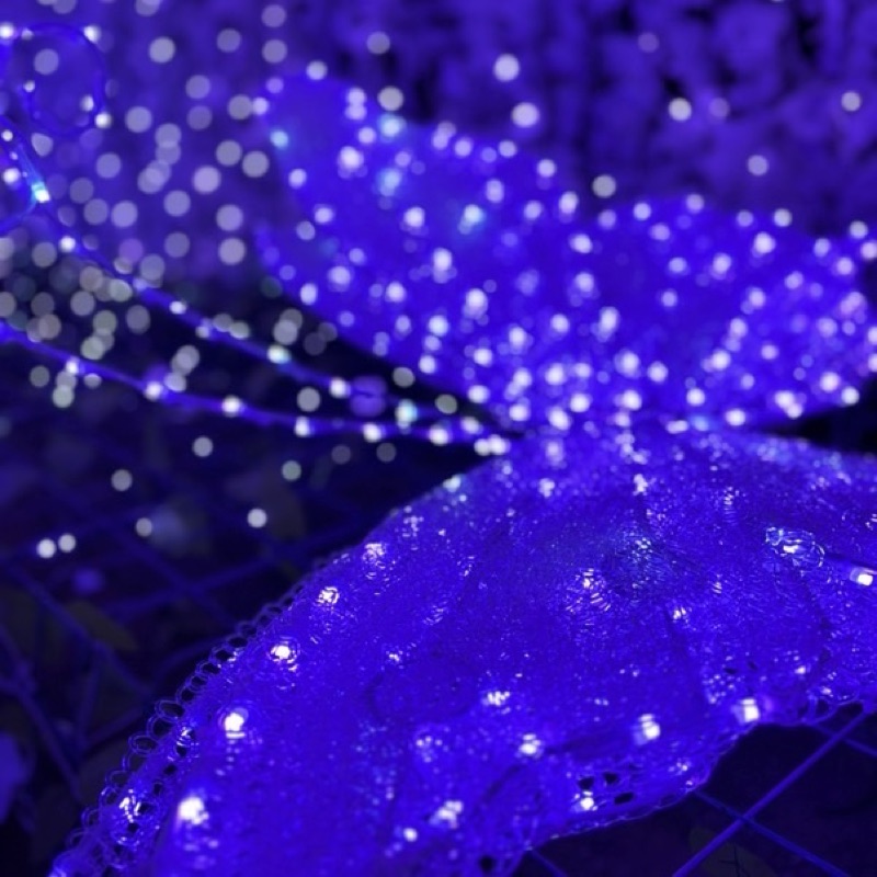 永木 彩花