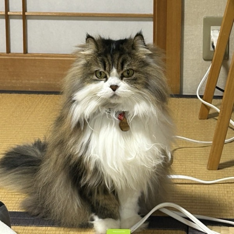 内山晃伸