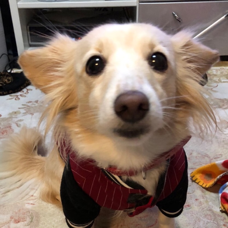 MIKI