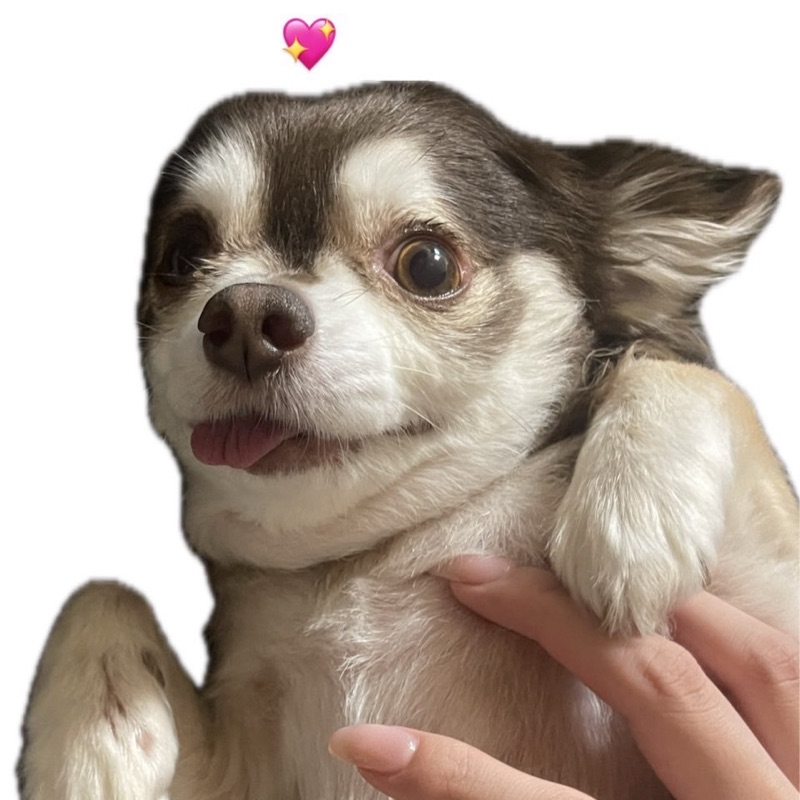 ゆか