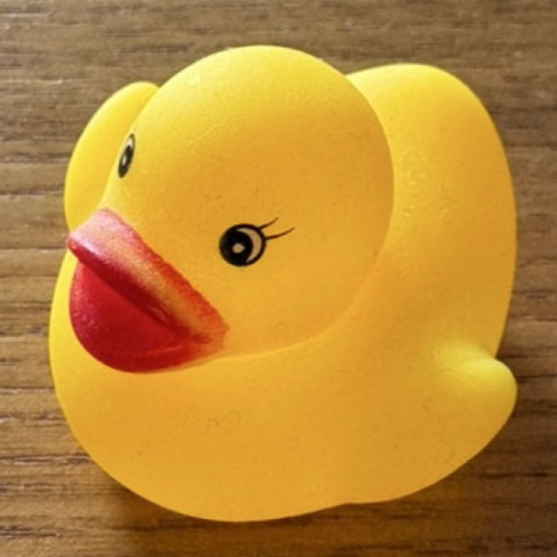 がぁこ