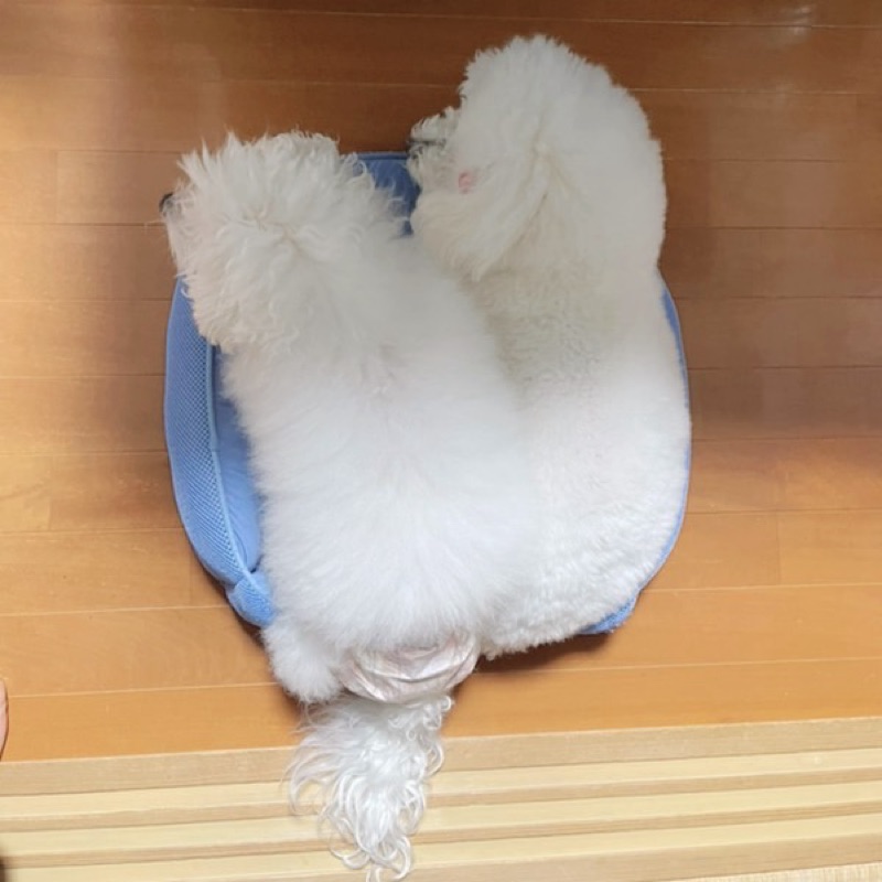 伊藤沙織