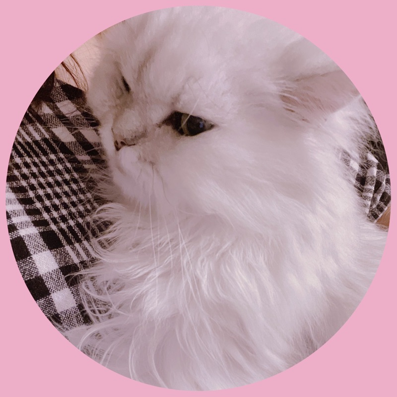 mika.k