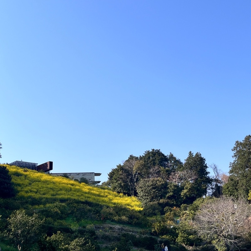若松蒼空
