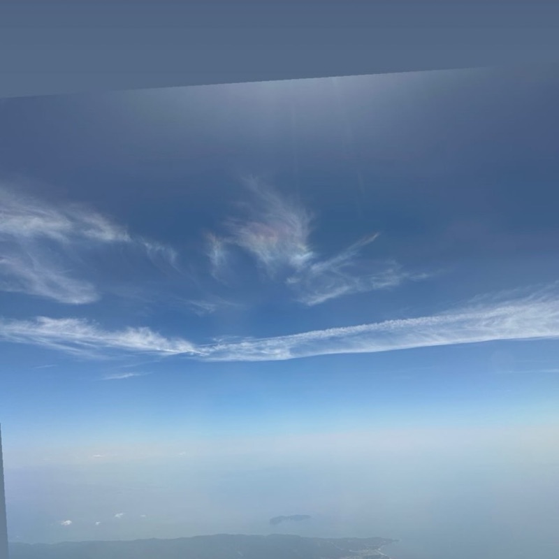佐野智子