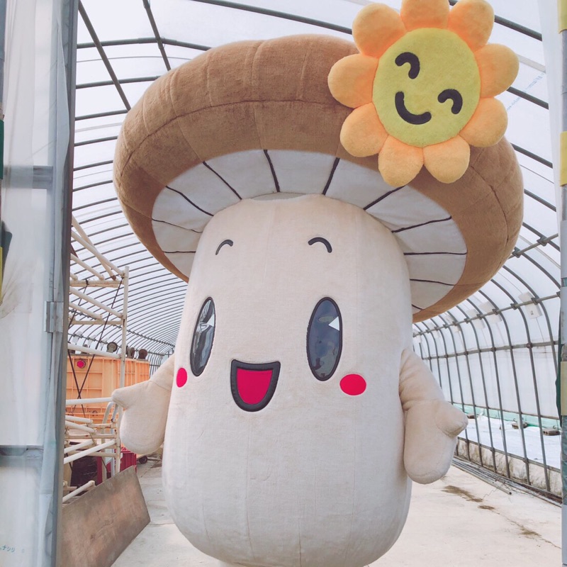 松下淑子