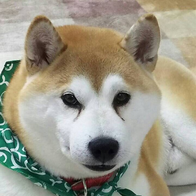 村口　博子