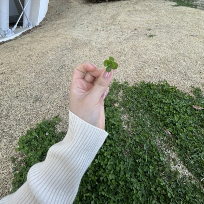 おれお