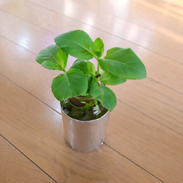 立谷優子