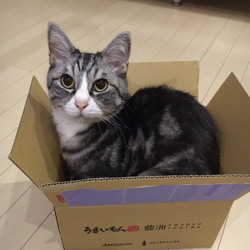 ゆっきママ