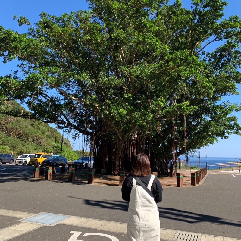 床波由季
