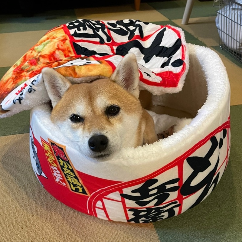 山ちゃん