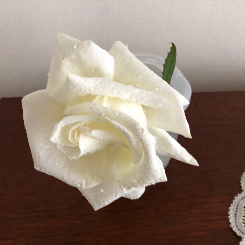 F