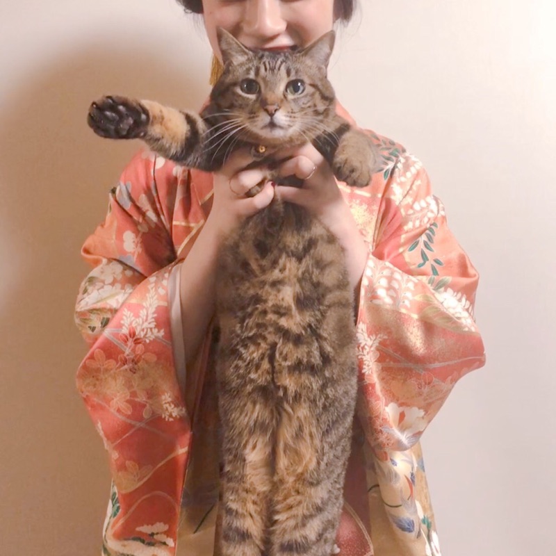 ゆき