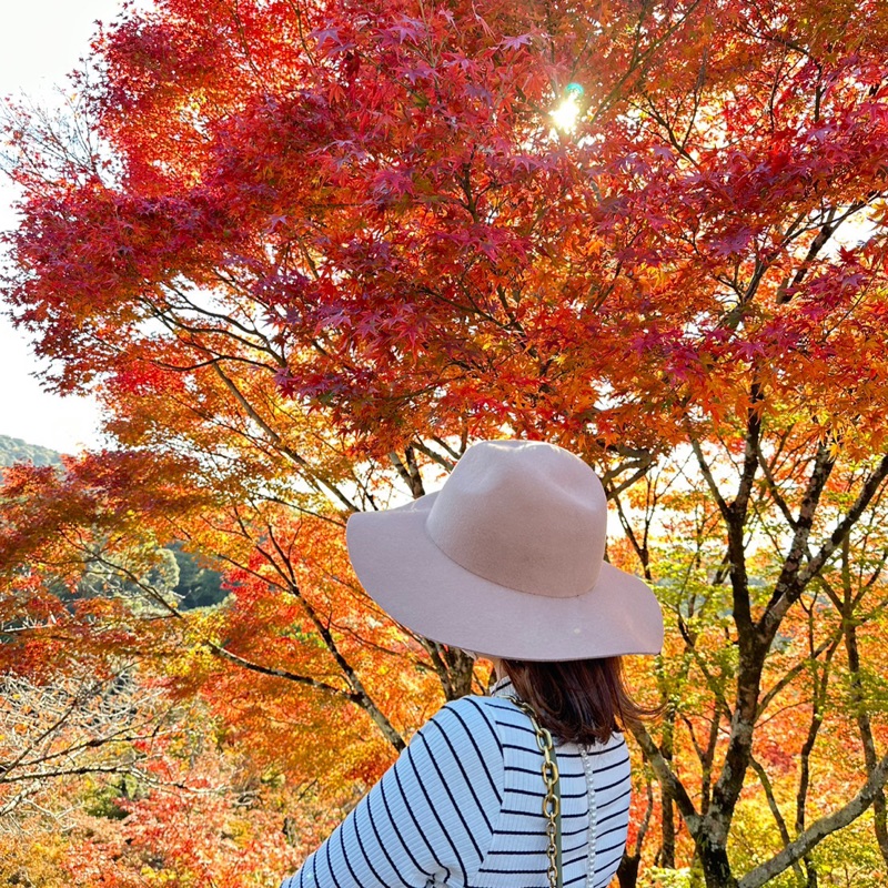 左海梨紗