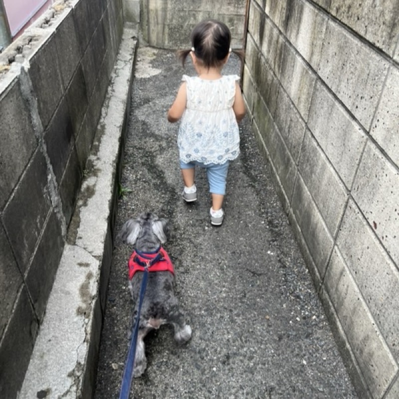 脇谷　愛