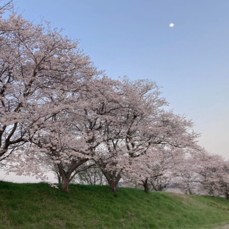 荻原　和華