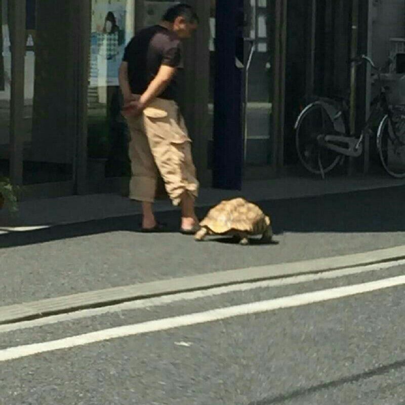 亀井　一