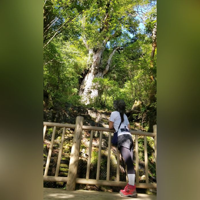 幸恵