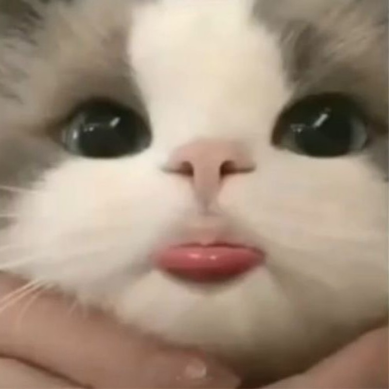 ゆい